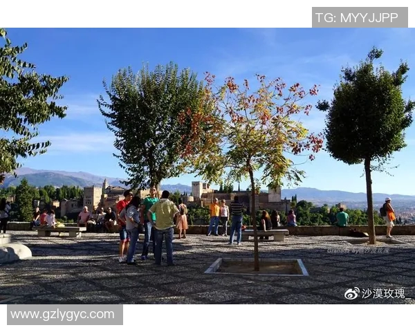 探索摩尔特里的历史与文化魅力，揭示这座城市的独特风情与发展潜力